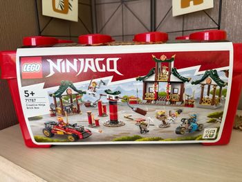 LEGO Ninjago 71787