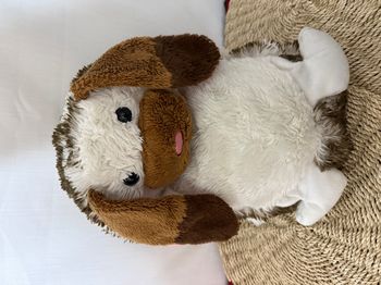 Peluche à câliner Lapin Pets Dujardin