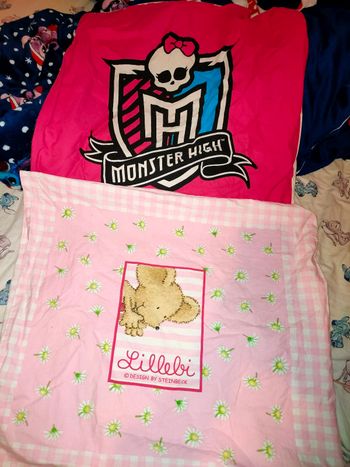 Lot 2 taie d'oreiller