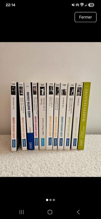 Lot 11 livres Agnès Martin lugan 