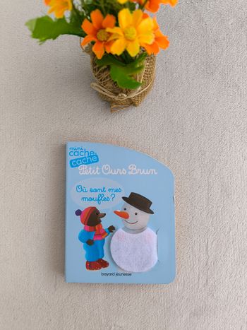 Livre Petit Ours brun Bayard