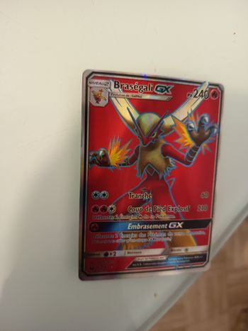 Carte pokémon Braségali