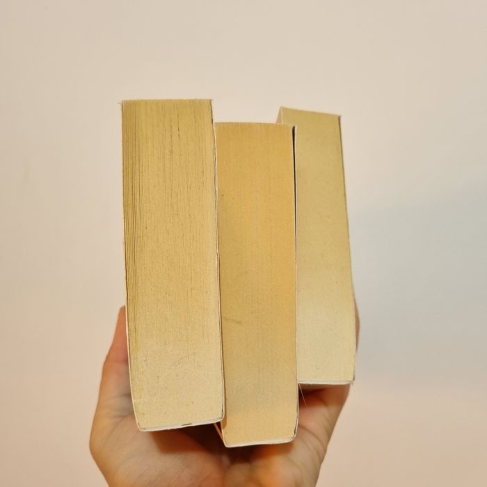 3 livres ́le trône de fer indissociables + Goodies - photo numéro 8