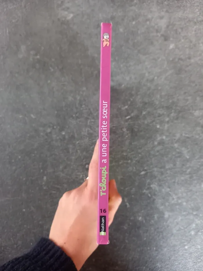 Livre T'choupi a une petite sœur - photo numéro 3