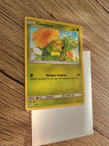 Carte pokémon chenipan holo 2/40 fr année 2019