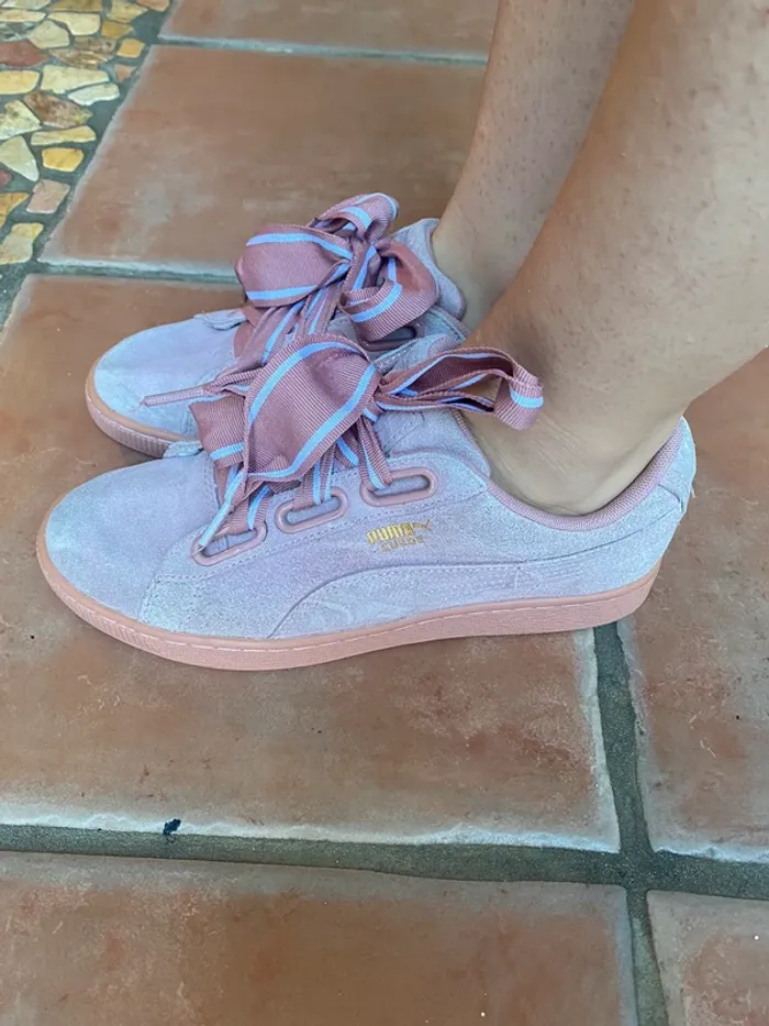 Puma Rose