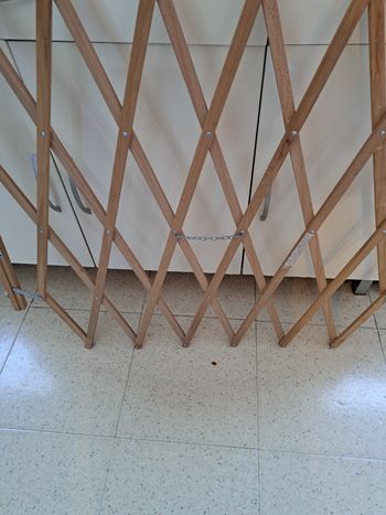Barrière Sécurité pour chiens