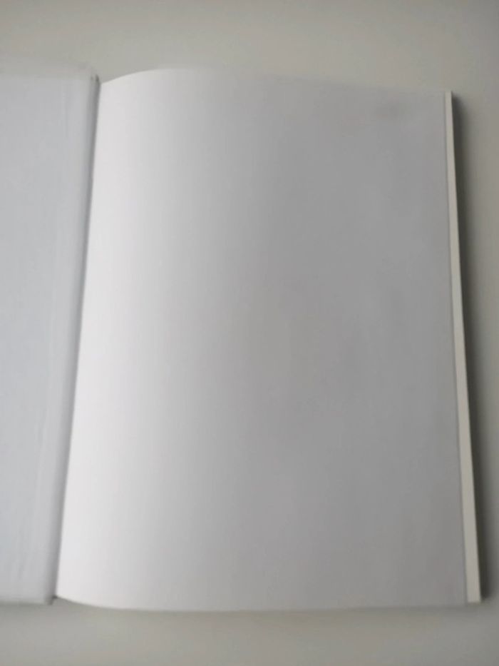 Livre description de Marseille (Jean Giono / éditions quatuor) - photo numéro 7