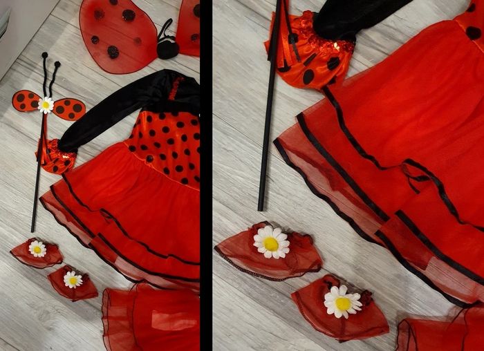 Ensemble déguisement coccinelle + reine des neiges 24/36 mois - photo numéro 8