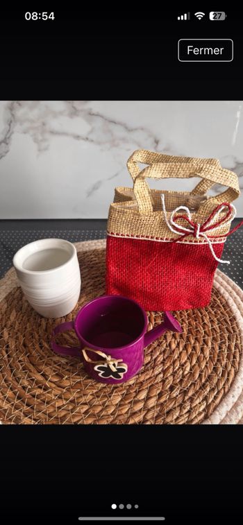 Lot de 3 mini pots pour fleurs