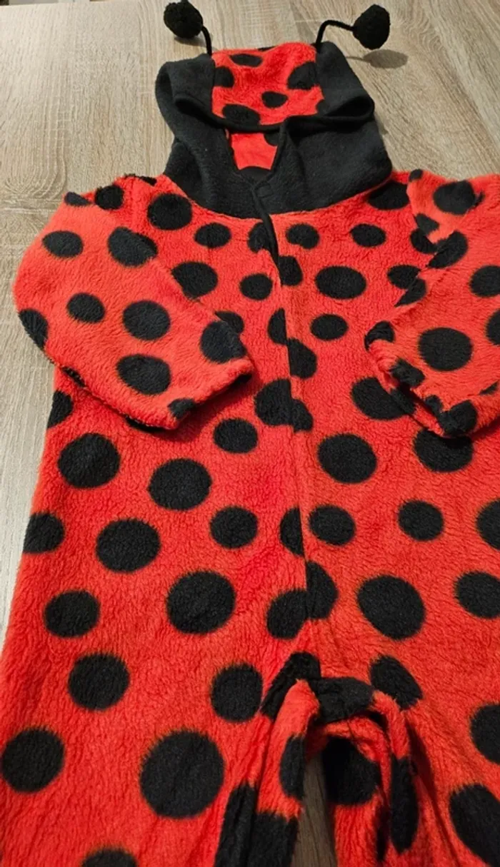 Costume coccinelle 18/24 mois - photo numéro 8
