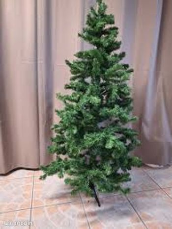 Sapin
