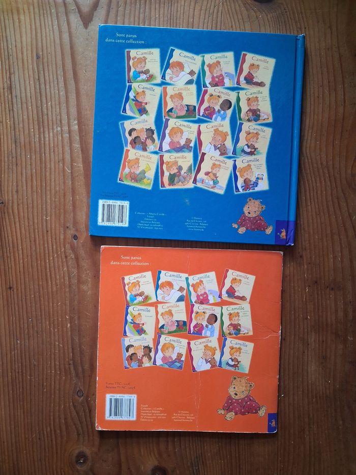 Livres enfants - Camille - Hemma - photo numéro 2