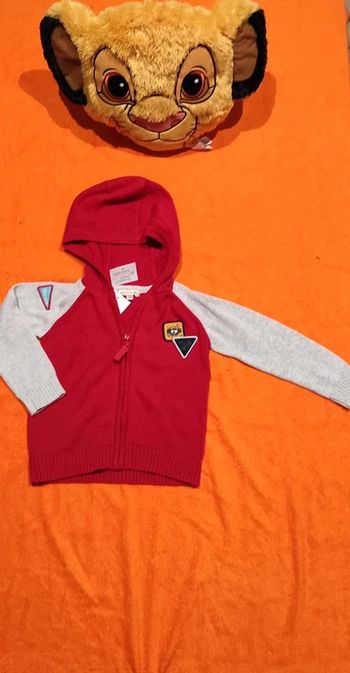 Gilet zippé avec capuche 24 mois 86 cm