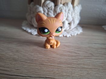 Petshop chat chartreux #1188