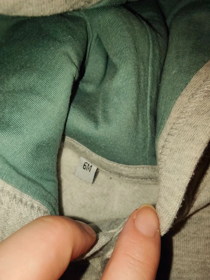 Ensemble dino - photo numéro 3