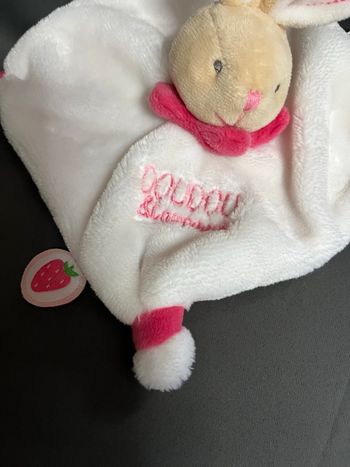 Doudou et compagnie  lapin 