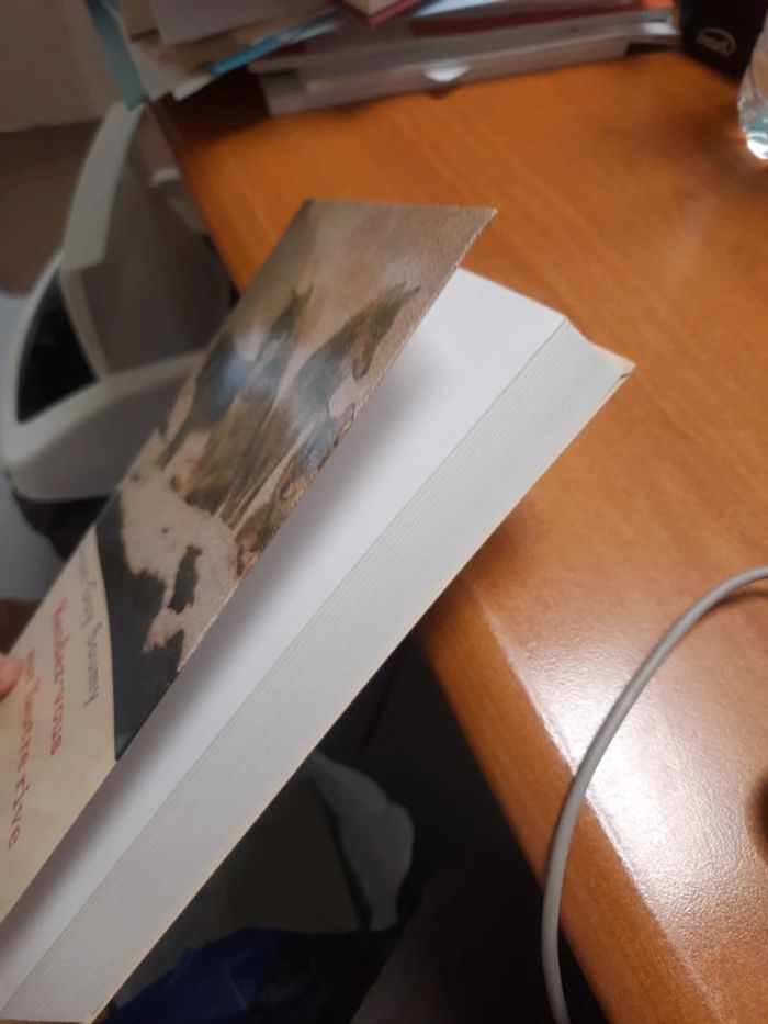 Roman rendez vous sur l'autre livre - photo numéro 5