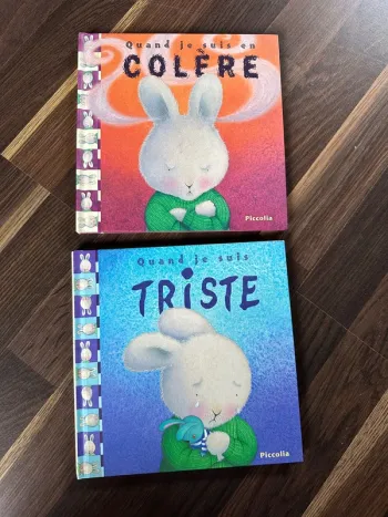 Lot de 2 livres sentiments
