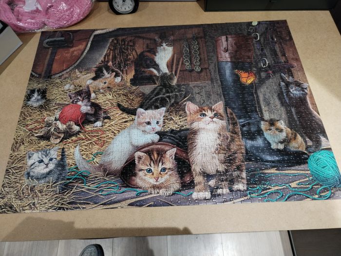 Puzzle 1000 pièces - photo numéro 2