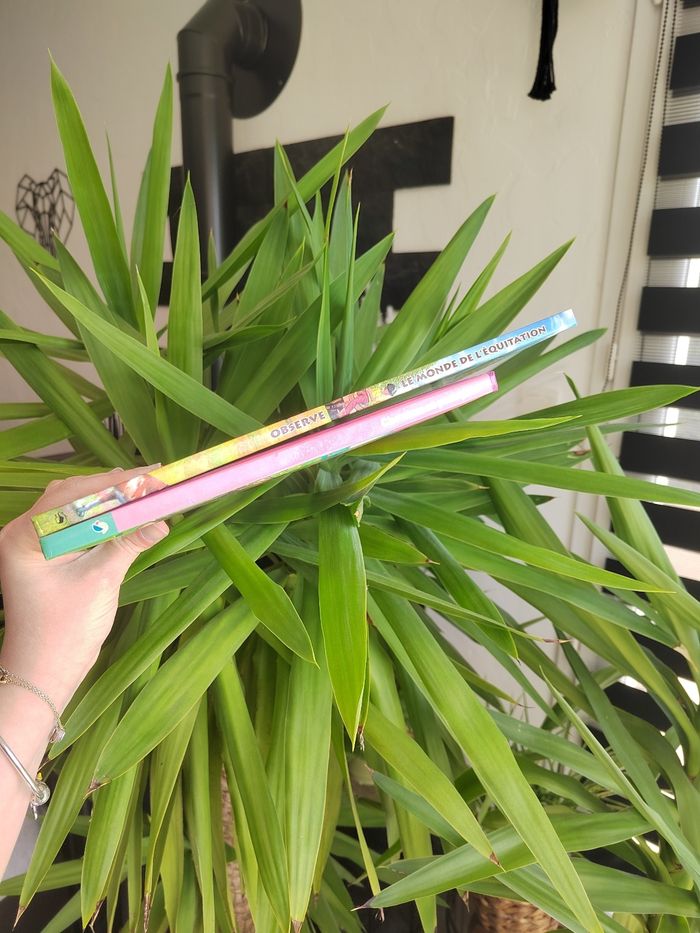 Lot de 2 livres sur les  chevaux pour enfant - photo numéro 2