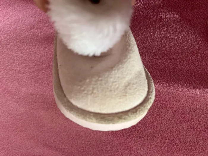 Chaussons rose taille 18-19 - photo numéro 4