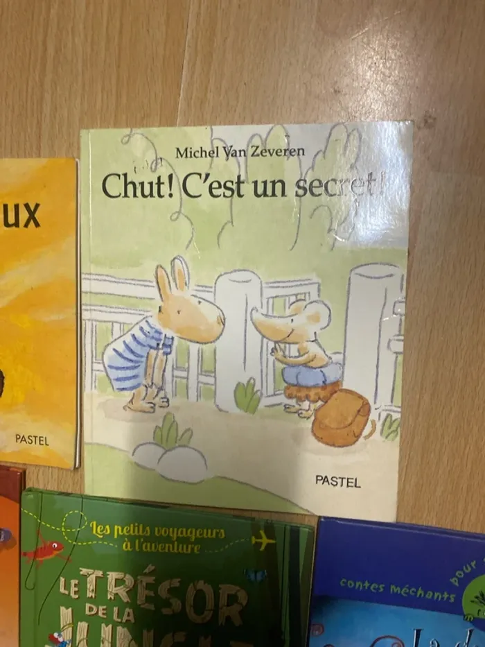 Livre enfants - photo numéro 5