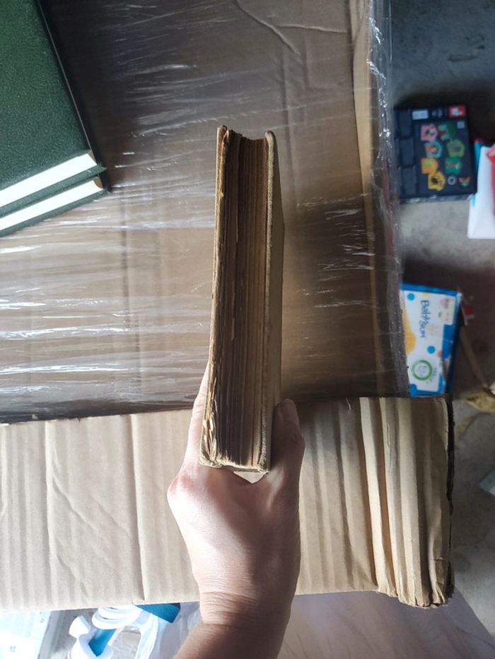 Livre ancien de 1897 tapis vert - photo numéro 2