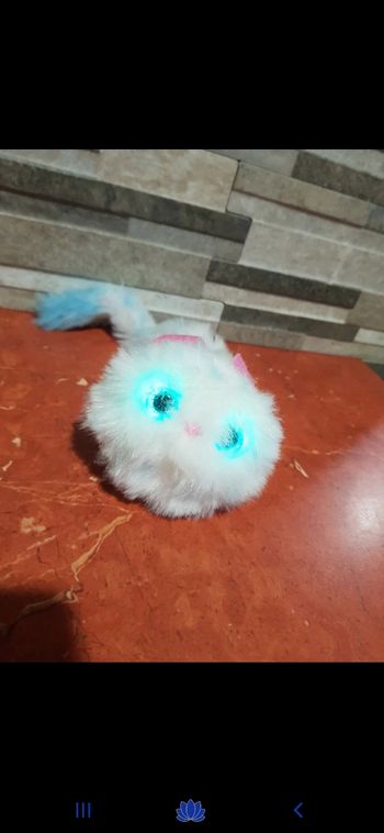Peluche pomsies
