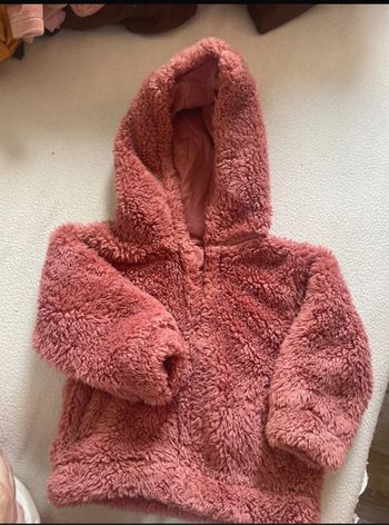Petite polaire