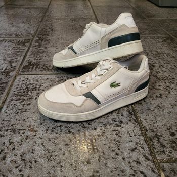Basket lacoste taille 40