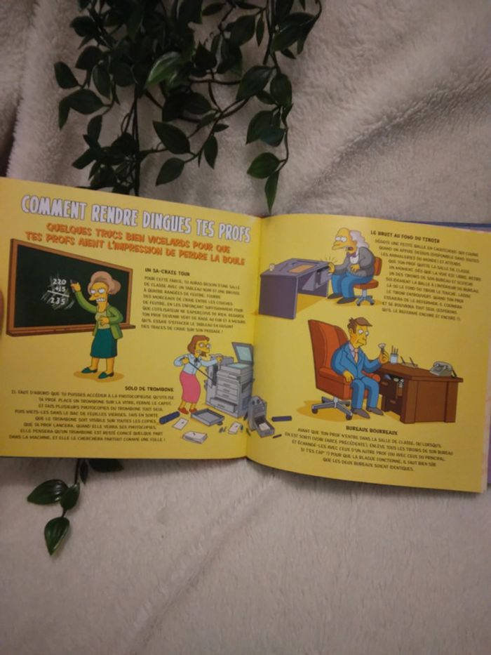 🌸Livre Bart Simpson le manuel du sale gosse🌸 - photo numéro 5