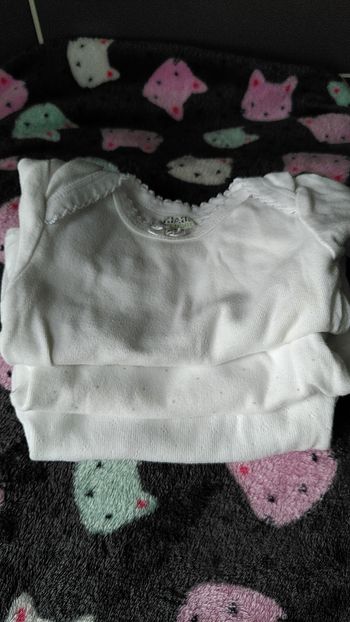 Lot de 3 body manches courtes