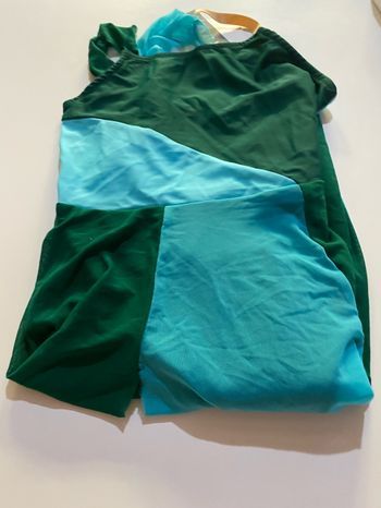 Robe de danse enfants fille vert et bleu taille 7/8 ans