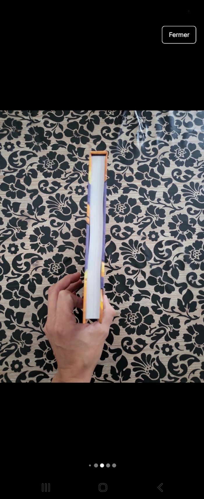 Livre Mortelle Adèle - photo numéro 5