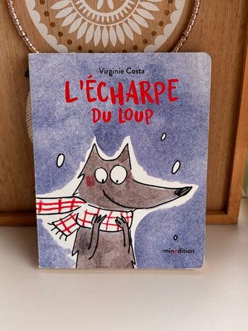 Livre l’écharpe du loup 