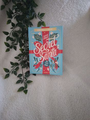 Livre calendrier de l'avent