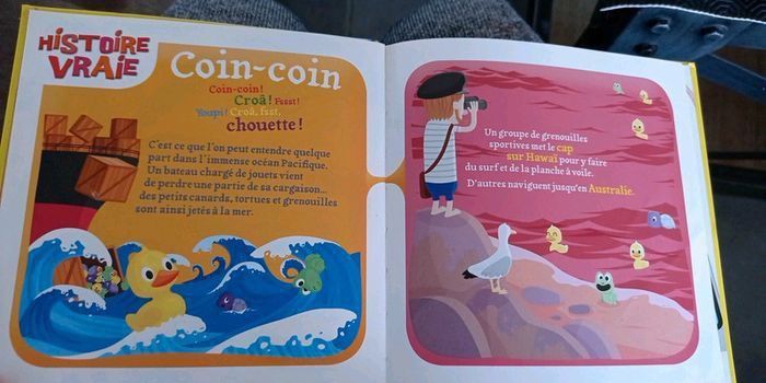 Lot de 3 livres ludiques - photo numéro 4
