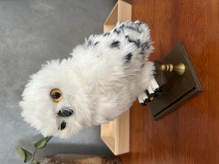 Hedwige Harry Potter - photo numéro 4