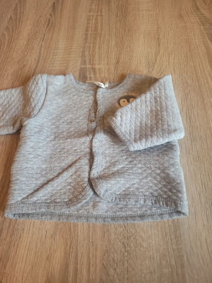 Gilet - photo numéro 2