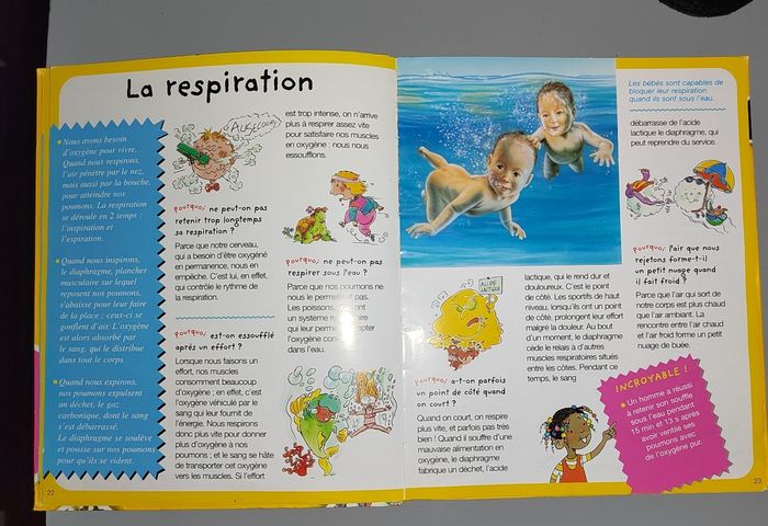 Le corps - photo numéro 3
