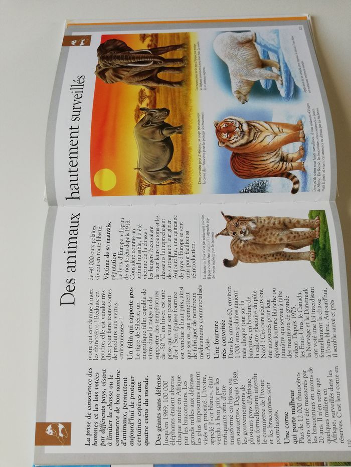 livre imagia dinosaures - photo numéro 9