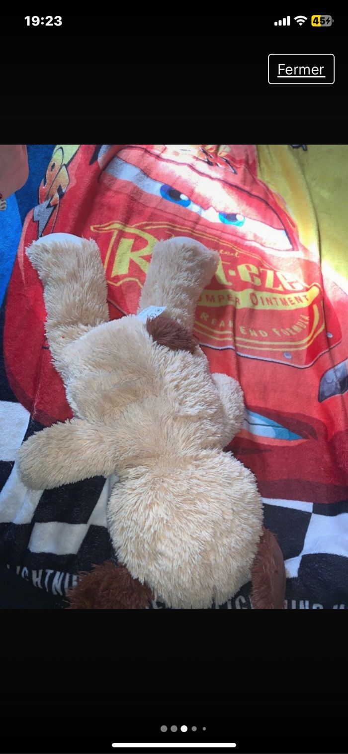 Peluche - photo numéro 3