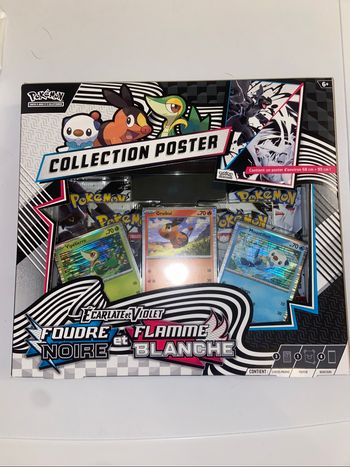 Coffret Poster 10.5 FR Pokémon