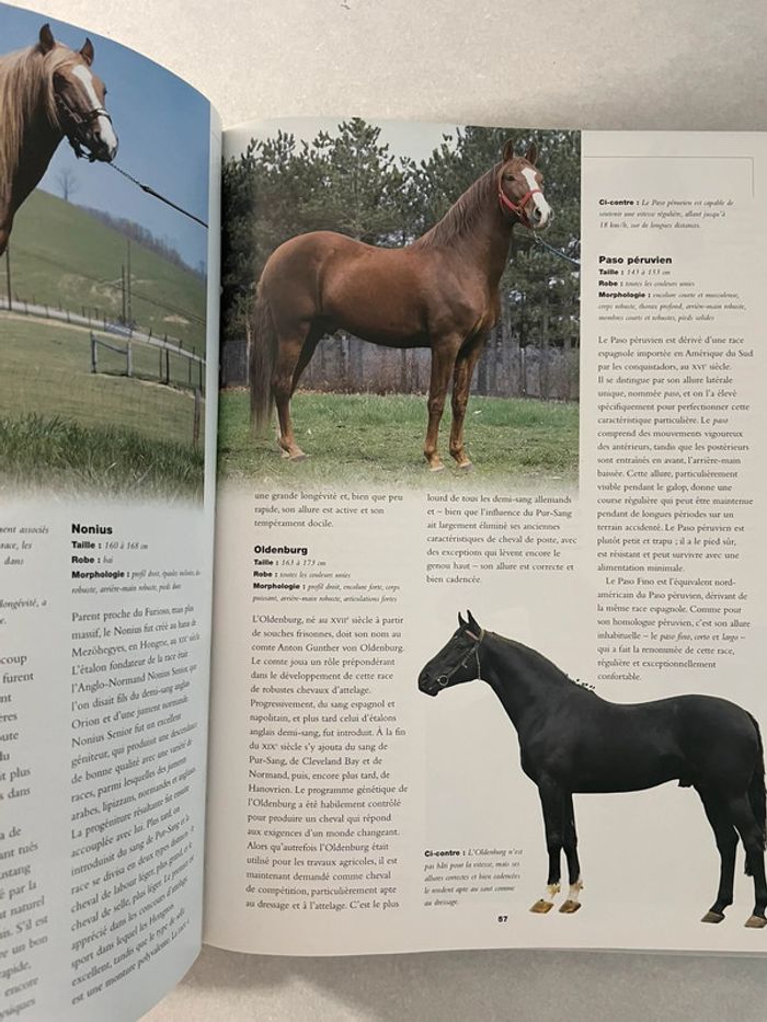 L'encyclopédie pratique du cheval - photo numéro 4