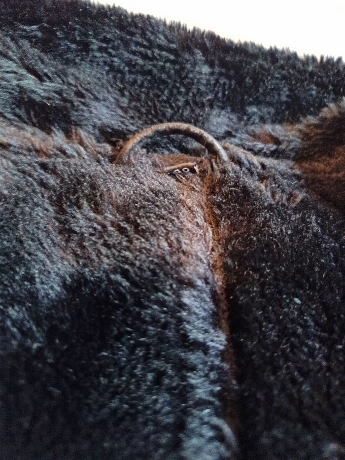 Manteau en daim T40 noir - photo numéro 3