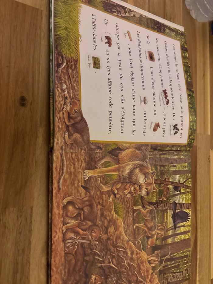 Livre - photo numéro 2