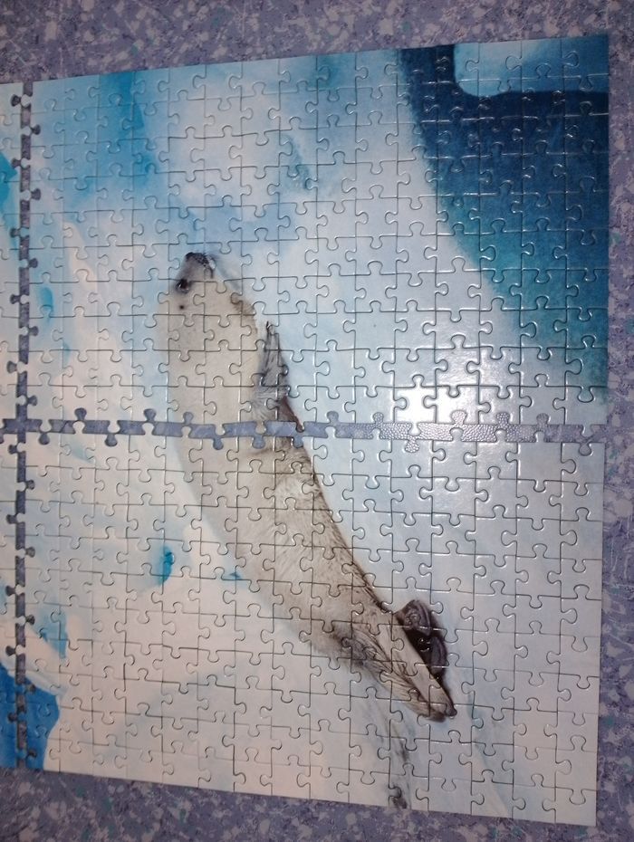 Puzzle bébé phoque complet 500 pièces Nathan - photo numéro 7