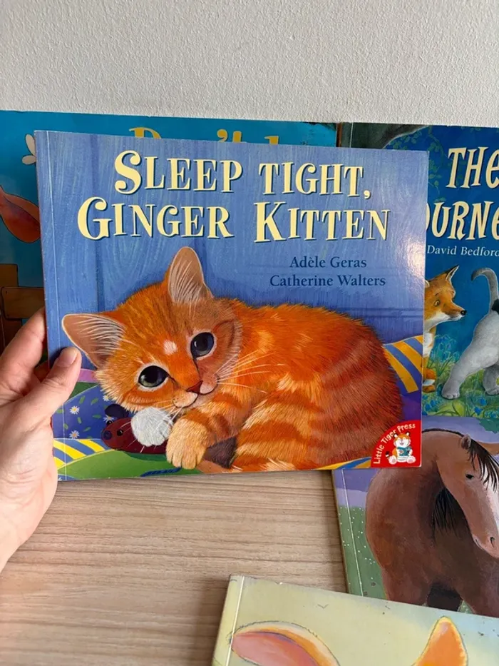 Lot de 5 livres pour enfants - Little Tiger Press en anglais - photo numéro 2