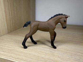 Poulain trakehnen schleich